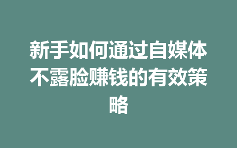 新手如何通过自媒体不露脸赚钱的有效策略