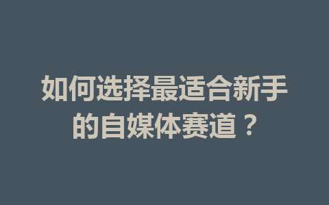 如何选择最适合新手的自媒体赛道?