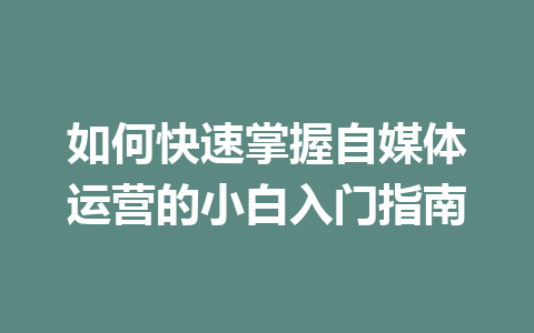 如何快速掌握自媒体运营的小白入门指南