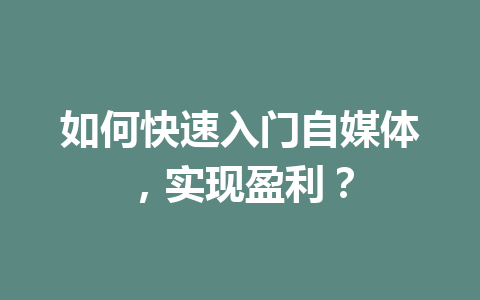如何快速入门自媒体,实现盈利?