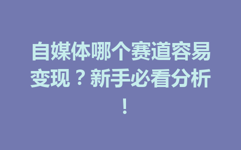 自媒体哪个赛道容易变现?新手必看分析!