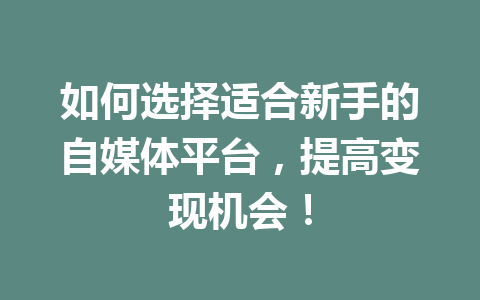 如何选择适合新手的自媒体平台，提高变现机会！